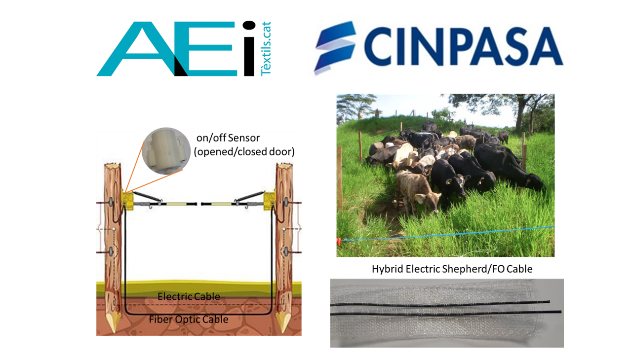 cinpasa_smartees