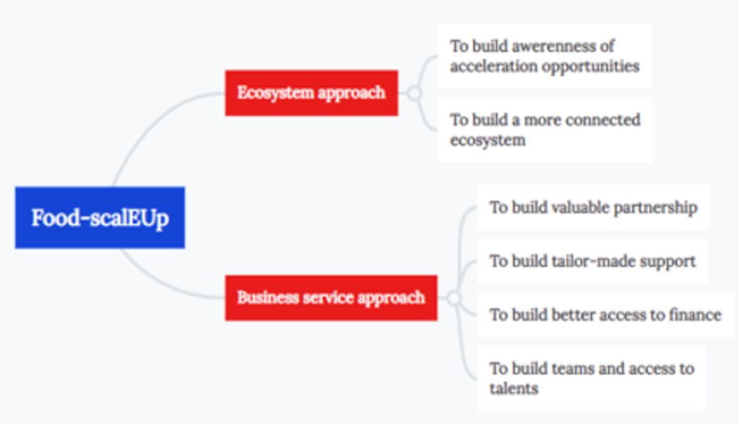 MindMap