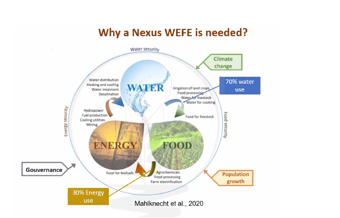 WEF_2 - Copie
