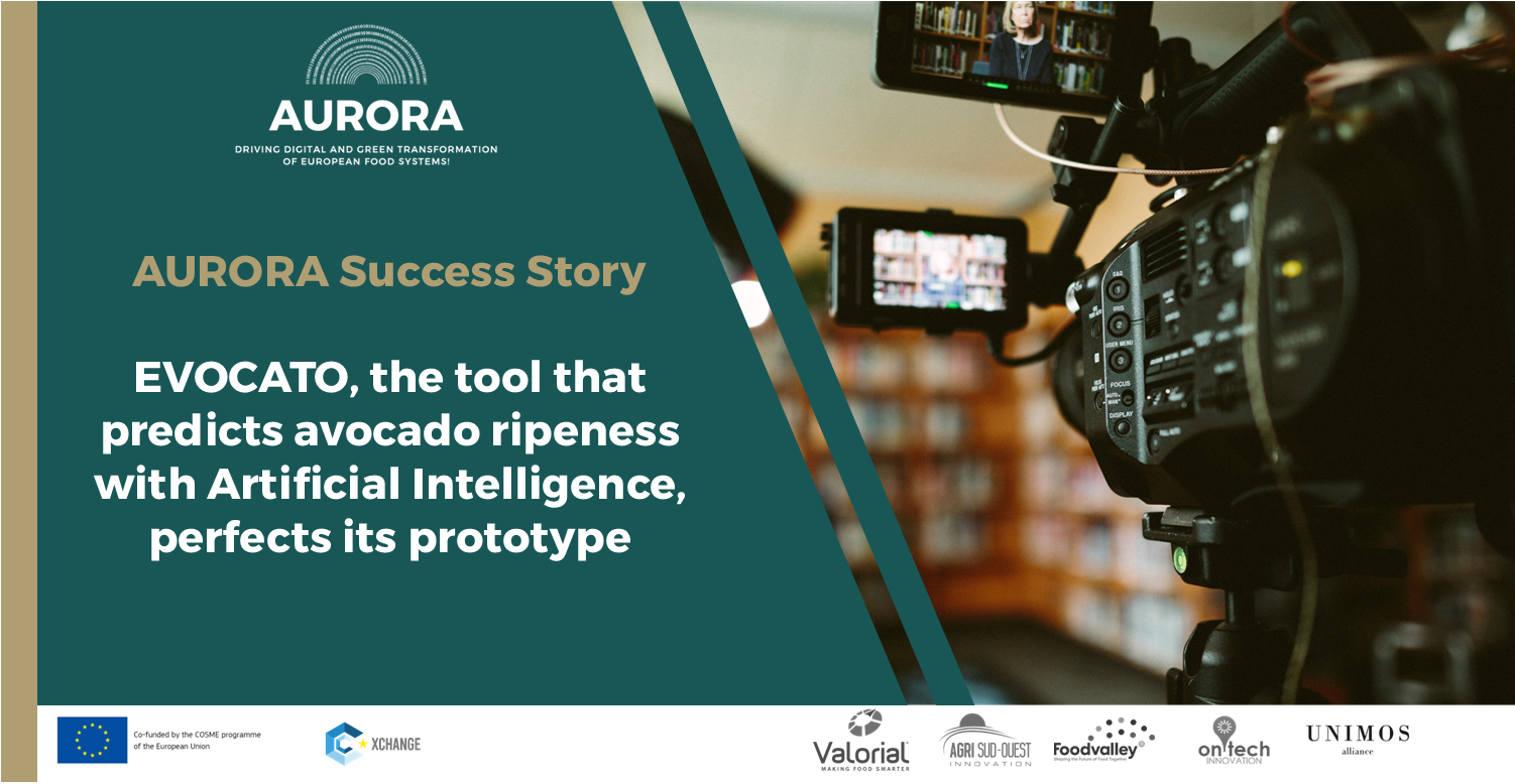 AURORA Success Story: EVOCATO, the tool that predicts avocado ripeness with Artificial Intelligence, perfects its prototype Banner_SS1