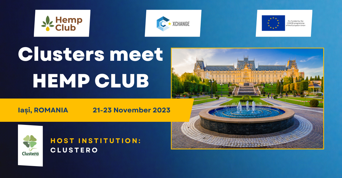 Save the date romania (1)