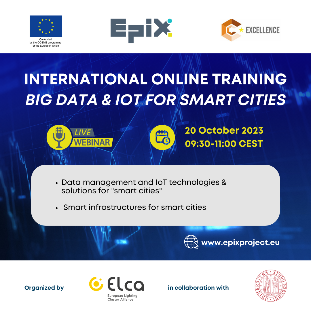 EPIX international online training workshop