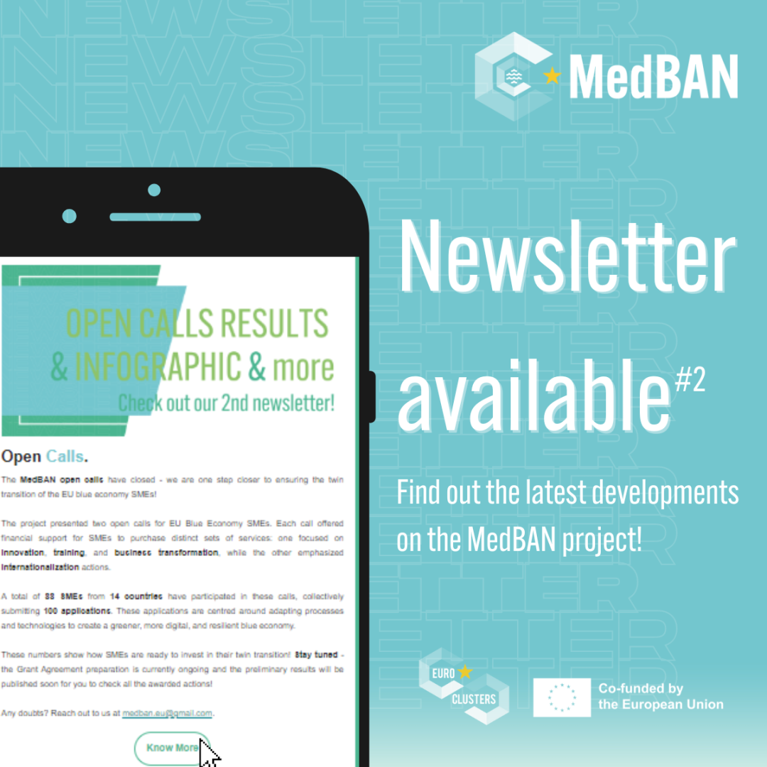 Newsletter #2