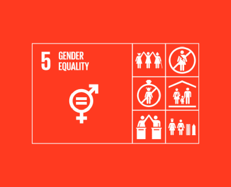 SDG 5 3b35c075289e962f1fbcb1cd239e478c0cfc2cf0_5-goal-resources