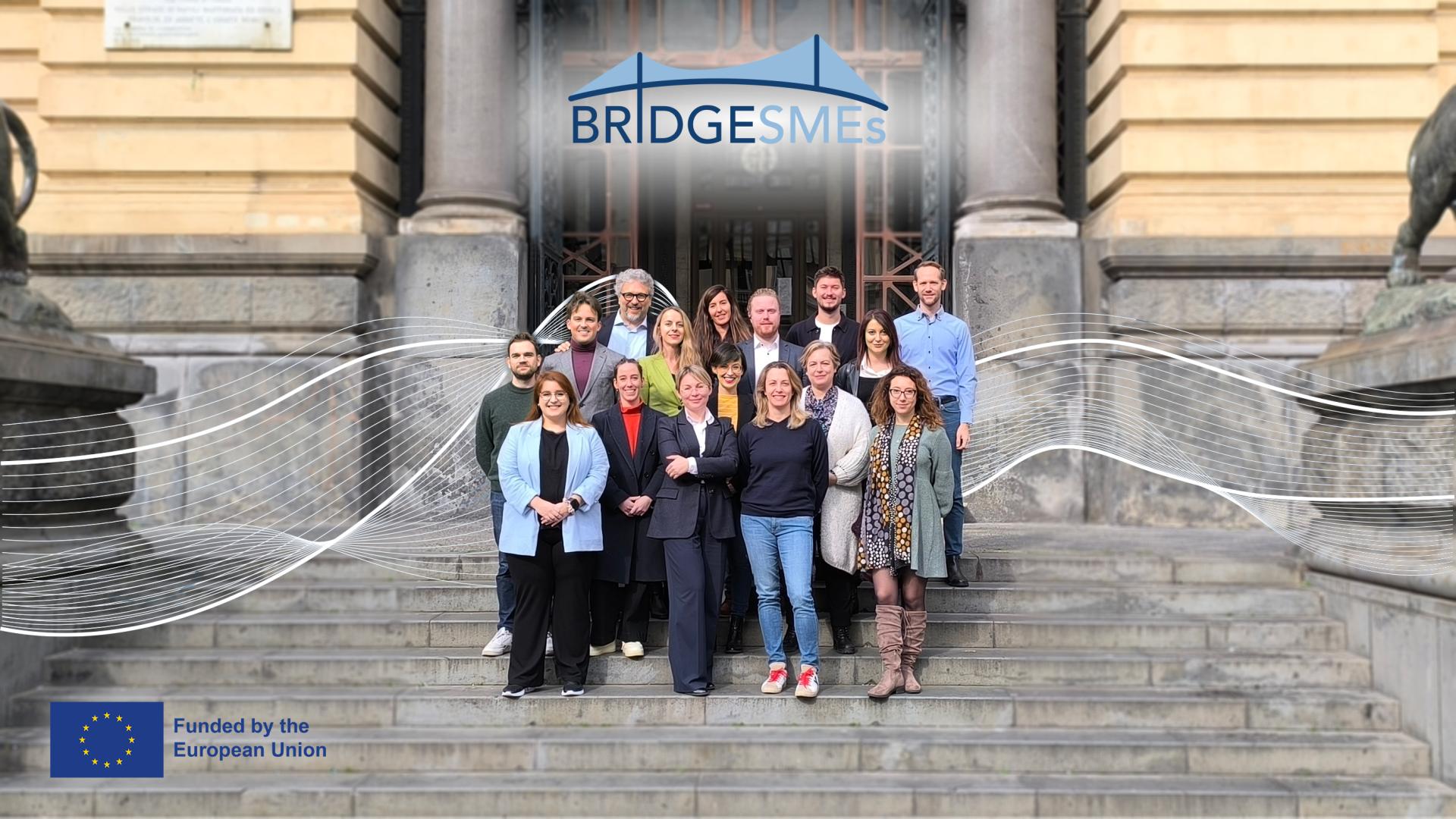 BRIDGESMEs project team image