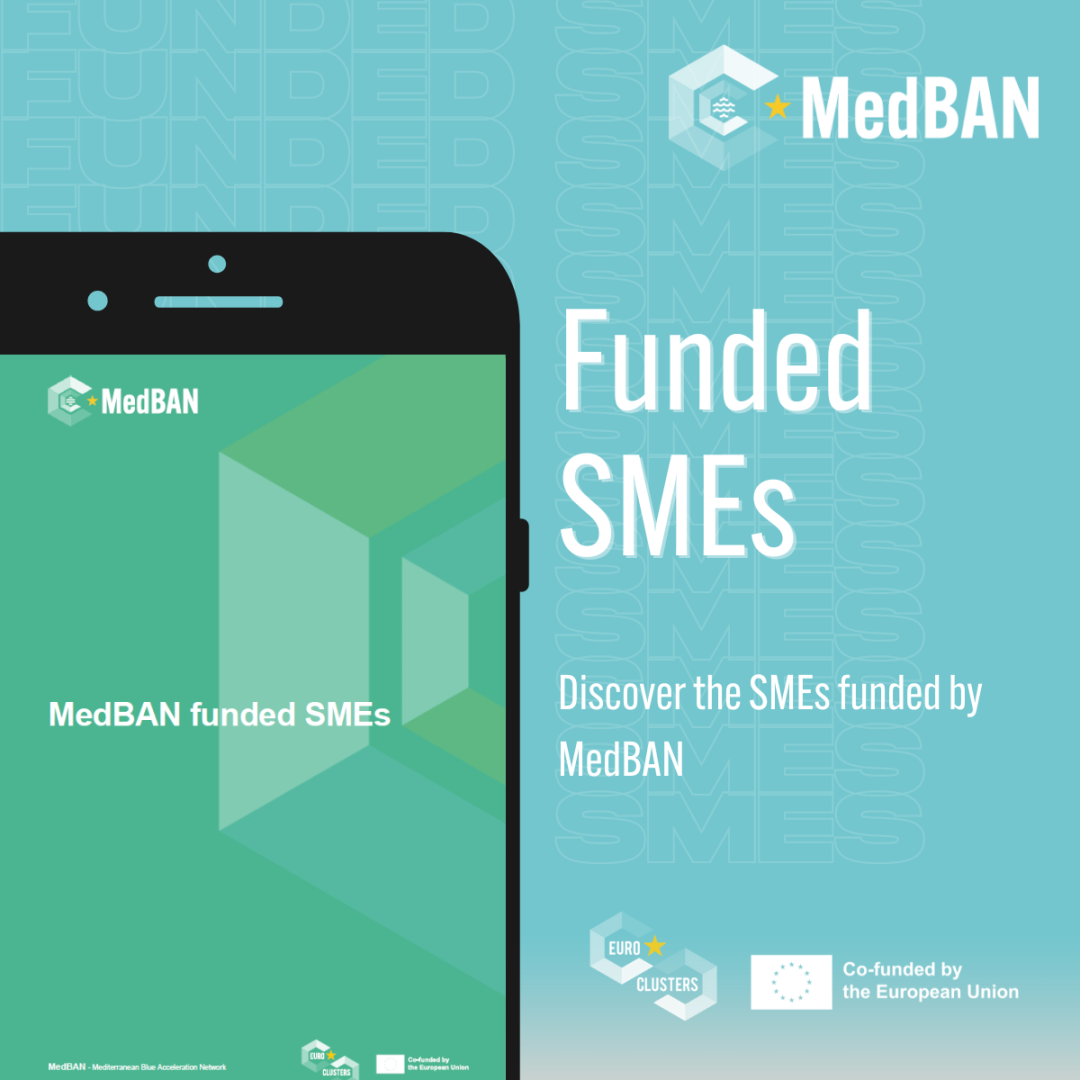 Funded SMEs