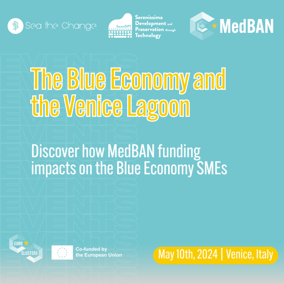 Blue Economy and the Venice Lagoon (1)