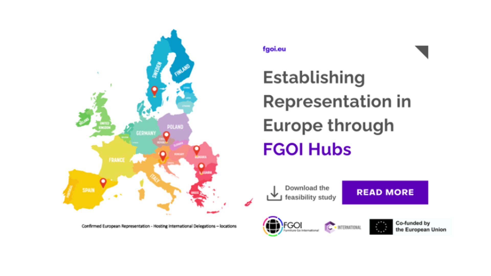 Establishing-Representation-in-Europe-through-FGOI-Hubs-1-768x432