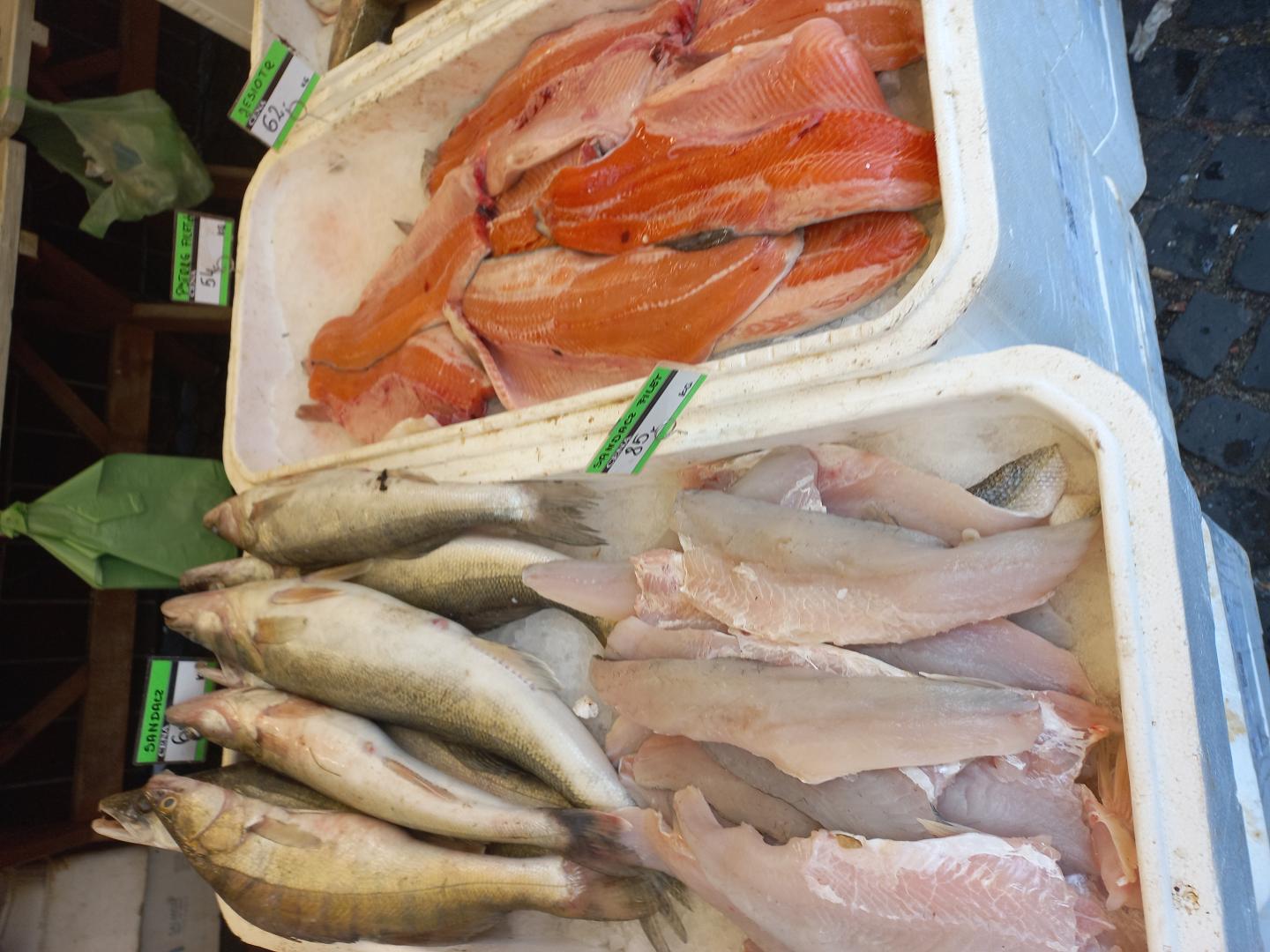 Plastic in fish