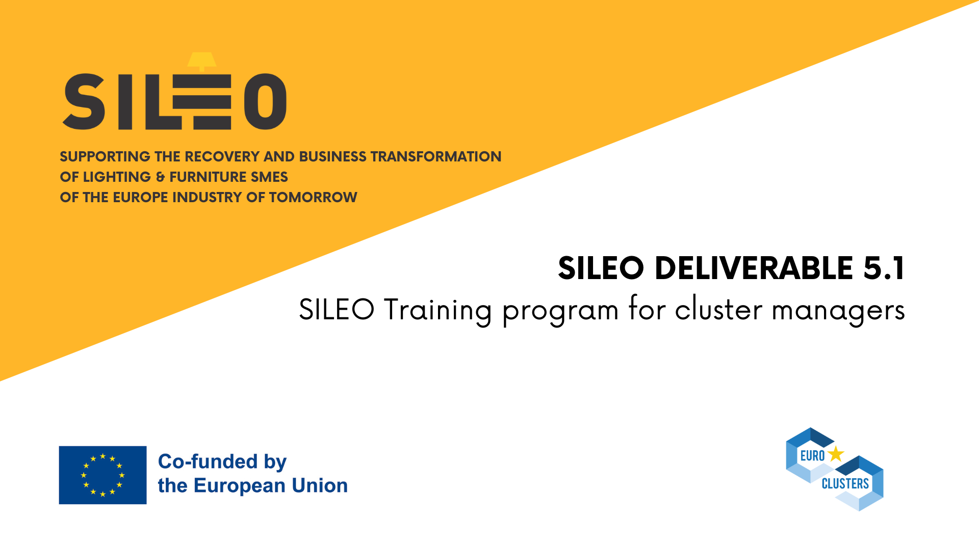 SILEO PUBLIC DELIVERABLE (2)