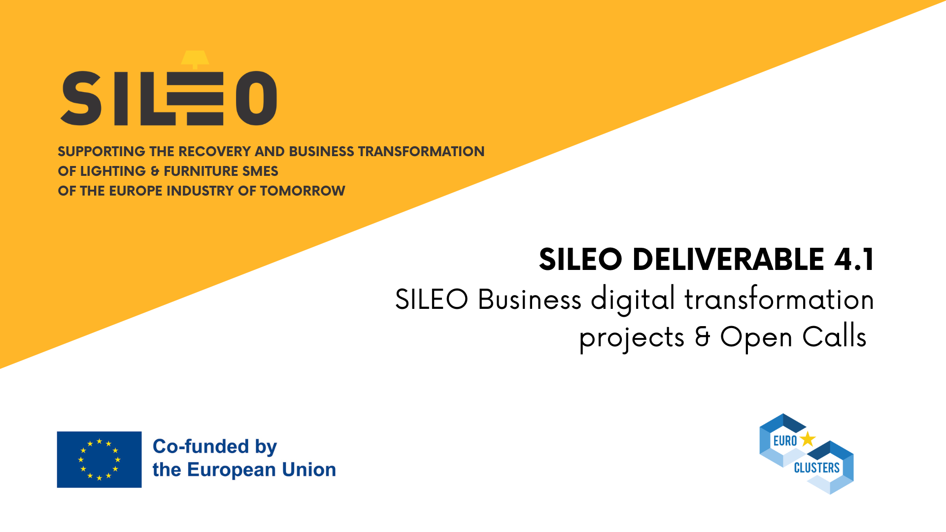 SILEO PUBLIC DELIVERABLE