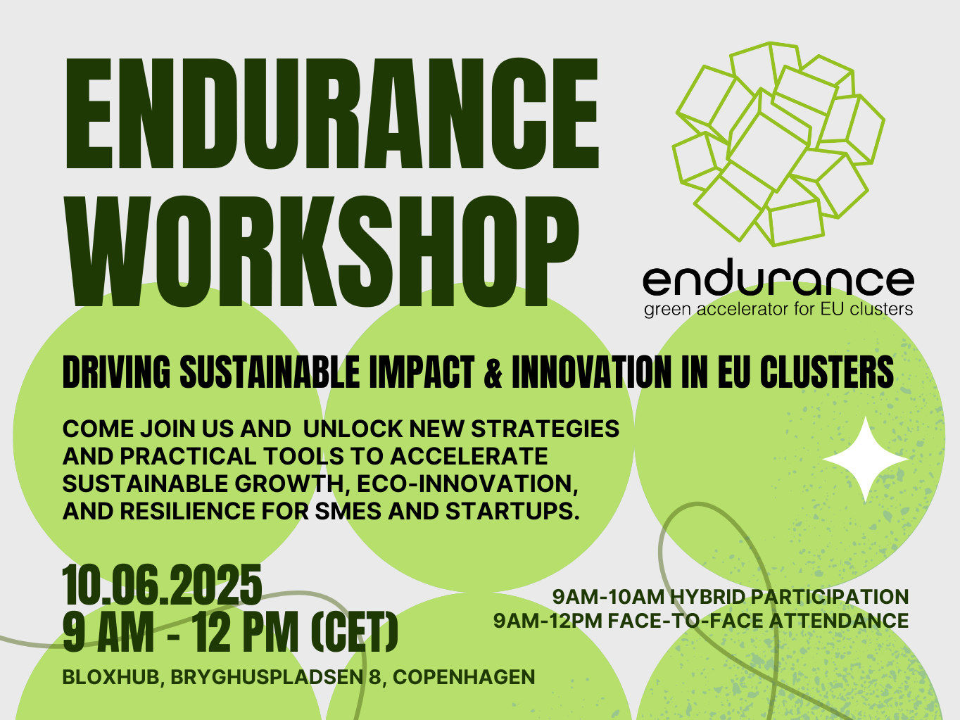 ENDURANCE Workshop ENDURANCE Workshop