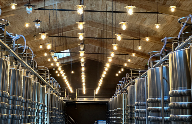 Chateau Latour (France) exemplifies sustainable winemaking through CO2 capture, circular resource use, and efficient water management