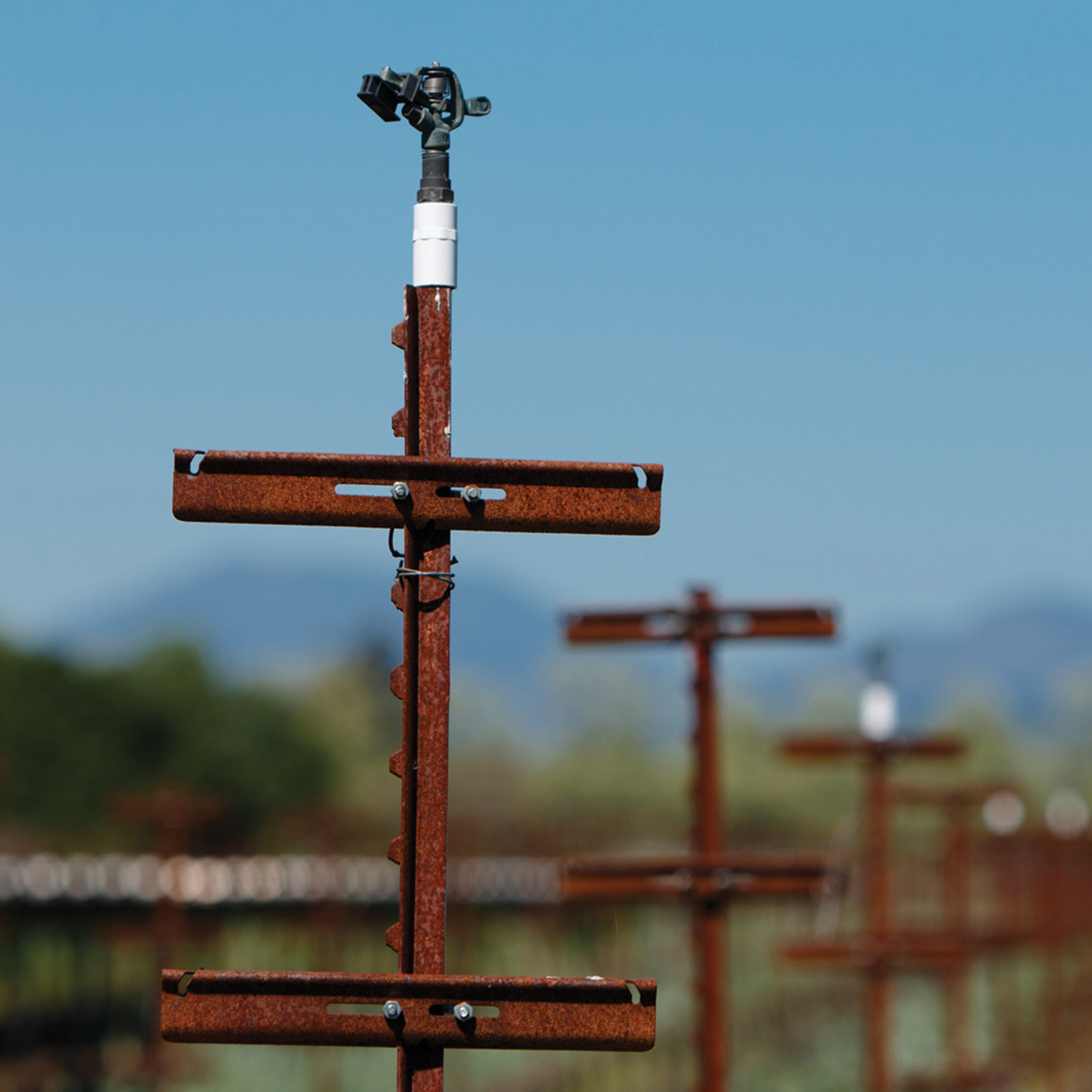 Silver Oak (United States) reduces its water footprint by adopting innovative water-saving strategies throughout the winery