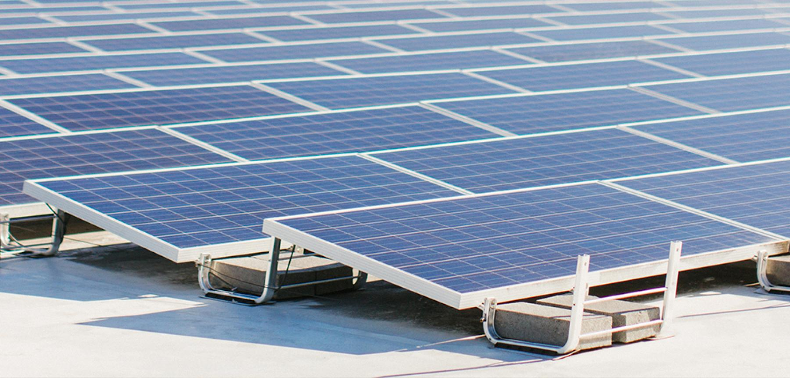 Jackson Family Wines - Advancing winemaking through the integration of renewable energy solutions