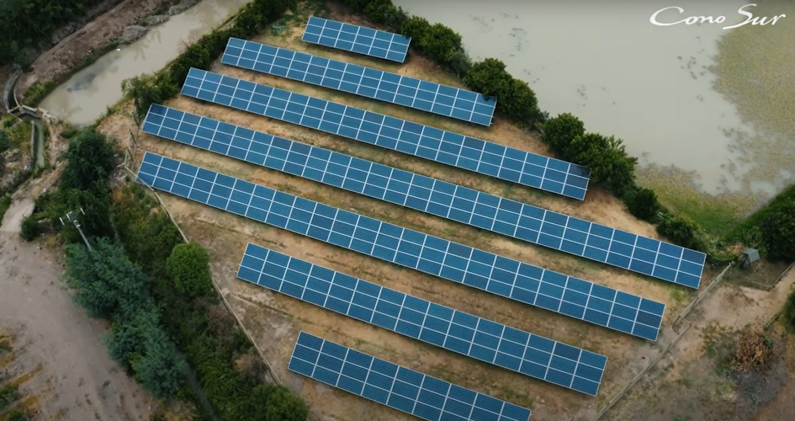 Viña Cono Sur (Chile) – Pioneering the use of unconventional renewable energy sources in sustainable winemaking