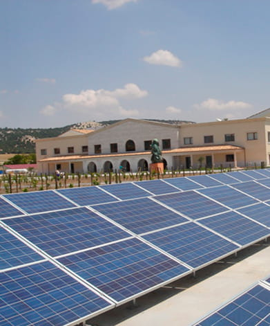 Matarromera (Spain) – Enhancing sustainability through improved water management practices in wine production.