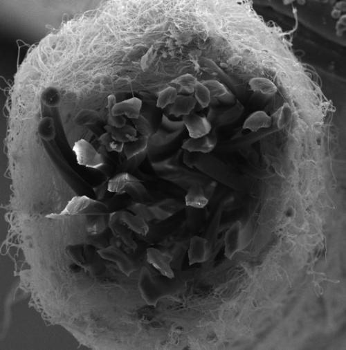 composite nano yarn