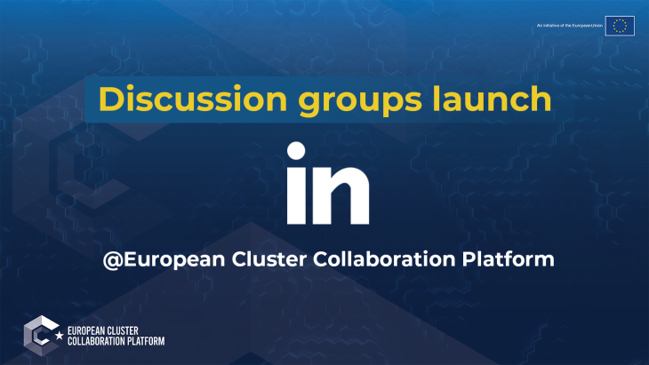 ECCP Discussion Groups