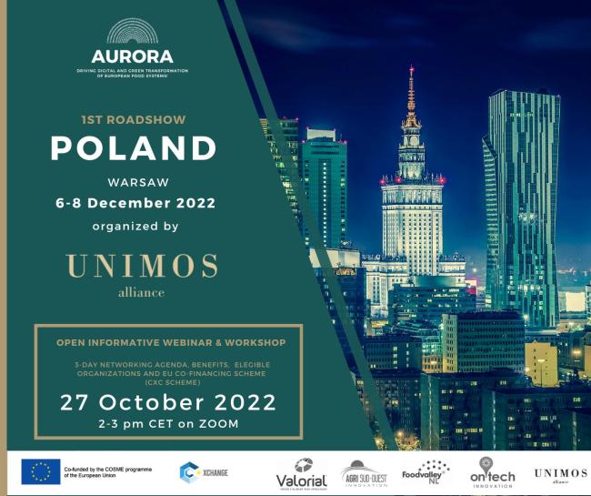 Poland Roadshow_webinar workshop