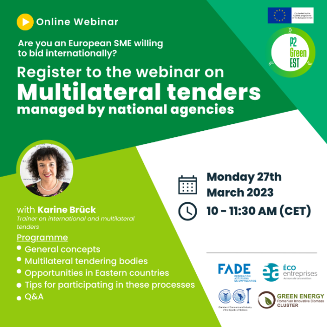 Webinar 2 website