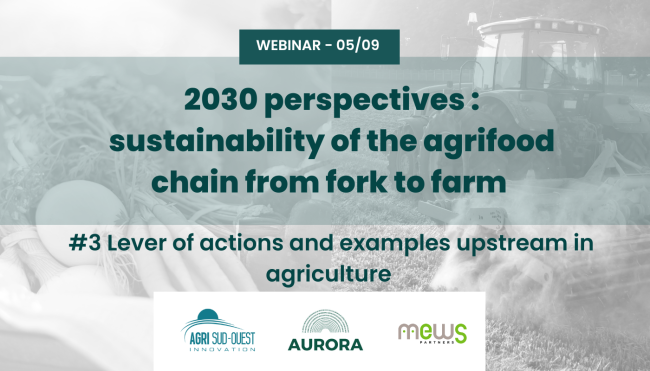 AURORA WEBINAIRE