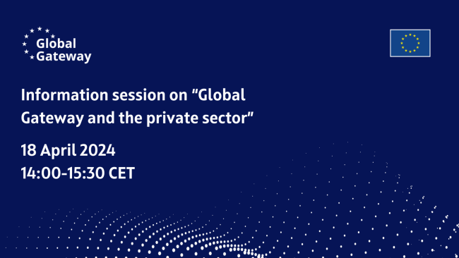 information session on “Global Gateway and the private sector”