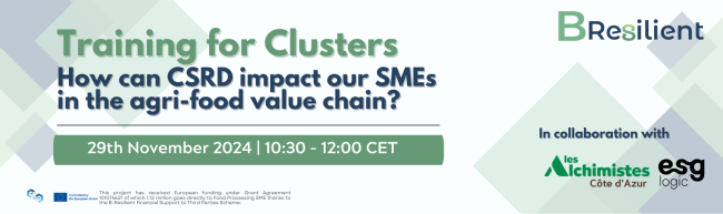 Banner webinar 29 nov