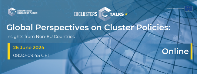 Global Perspectives on Cluster Policies_ Insights from Non-EU Countries
