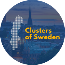 Clusters of Sweden  logo