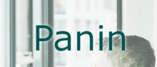 Panin logo