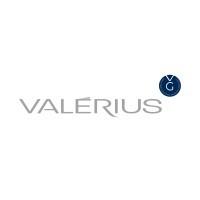 Valérius-Têxteis, S.A logo
