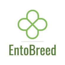 EntoBreed logo