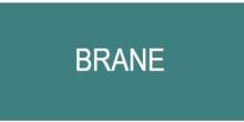 BRANE logo