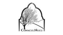 Asociația Centrul Cultural și Comunitar Nucu logo