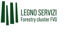 Forest & Wood FVG Service Cluster logo