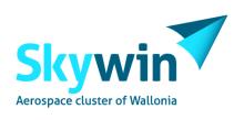 Skywin logo