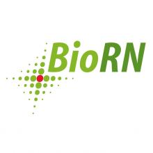 BioRN - Life Science Cluster Rhine-Neckar logo