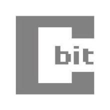 CBIT - Cluster of Bukovina innovation technologies logo
