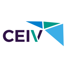 CLUSTER EMPRESAS INNOVADORAS VALLE DEL JUGUETE logo