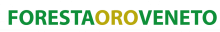 Rete Innovativa Regionale Foresta Oro Veneto logo
