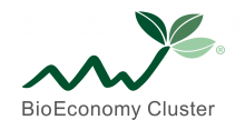 BioEconomy Cluster Central Germany logo