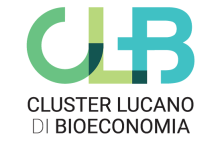 Cluster Lucano di Bioeconomia ETS logo