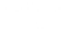 Wine Cluster Montenegro  logo