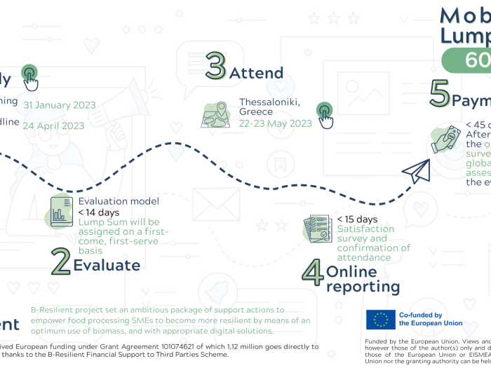 ANNEX 3.1b_Mobility Lump Sum Infographics (PNG) (2)
