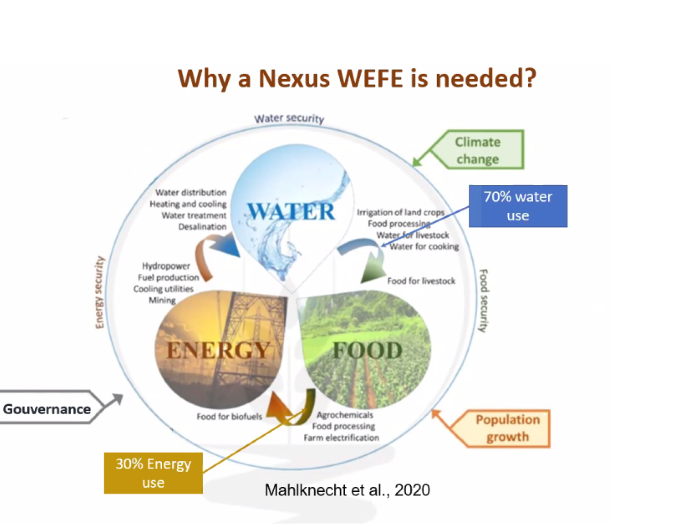 WEF_2 - Copie