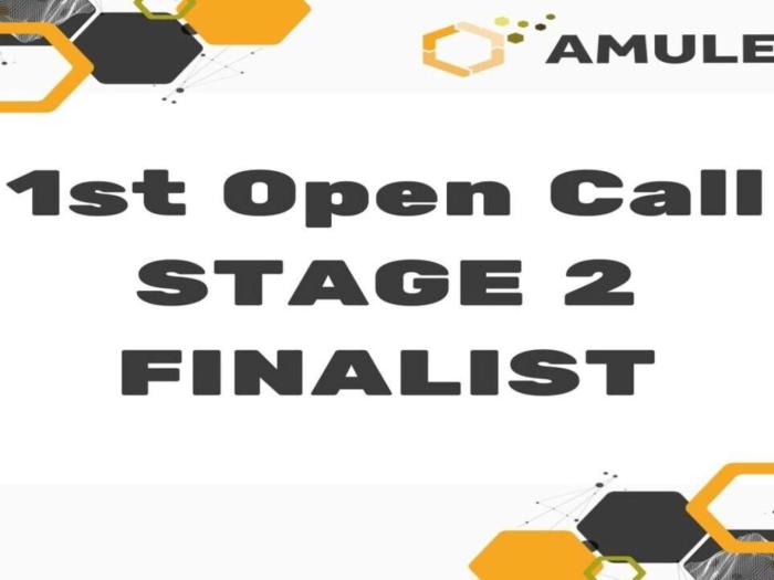 Wpis 1st Open Call V.2