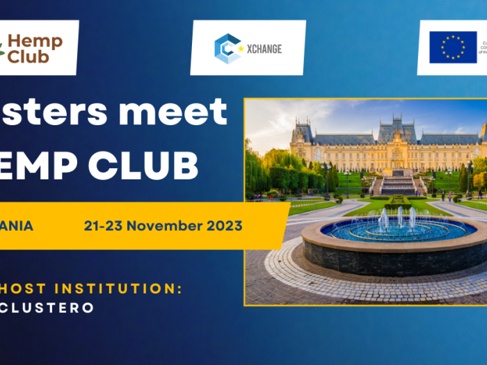 Save the date romania (1)