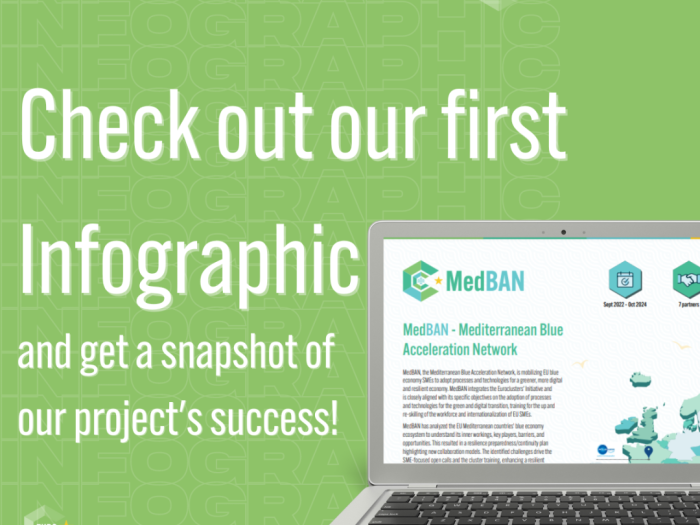 Infographic