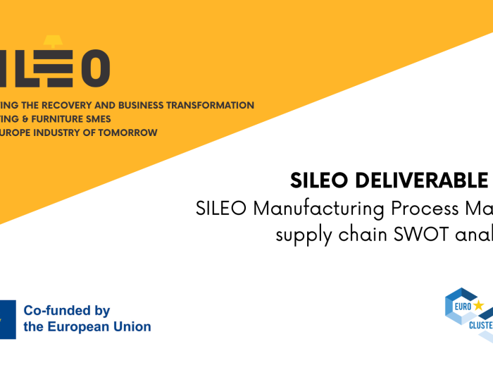 SILEO PUBLIC DELIVERABLE (3)